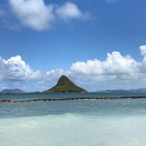 Meet your Posher, Yajaira